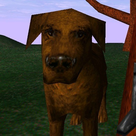 partyatsanguines:theknightlyrealist:uesp:Did You Know: Barbas, Clavicus Vile’s Hound, can shapeshift