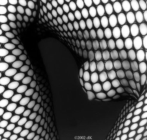 verveeveryday: manchestersylph: Sylph verveeveryday.tumblr.com