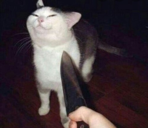 evilcatladyfromhell - Welcome To Hell