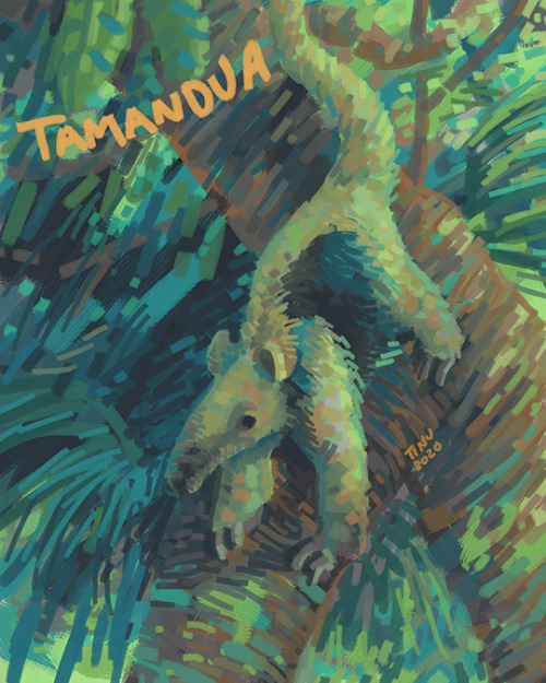 T for TamanduaI’m so close to finally finishing this project! Trying not to fiddle around with it an