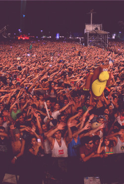 rave-nation:  60,000 hands up in the air at Ultra South America | Rudgr