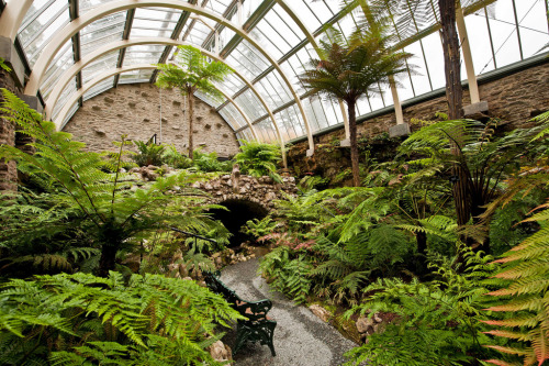botanical-inspiration:Benmore / Younger Botanic Garden, Argyll, Scotland - The restored Victorian Fe