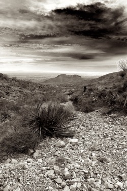 ofalunatic:  Franklin Mountains State Park, El Paso, TX. This is the Eastern side of the Franklin Mountains. When I visit the park I’m usually on the Western side. Taken from the Tin Mines on the Old Tin Mine Road trail…