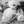 teddy456: