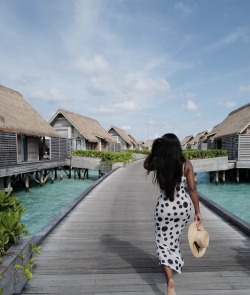 blacksophisticate:Vacation Moodboard ~