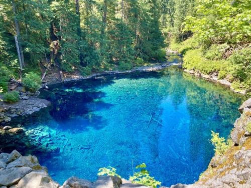 Oneshotolive:  Tamolitch Blue Pool, Oregon, Usa (4032X3024)(Oc) 📷: Alaric_Darconville