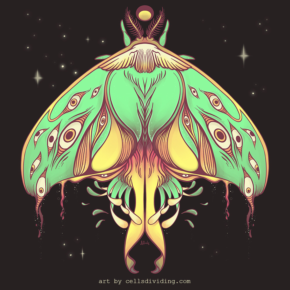 cellsdividing:Luna Moth. Illustration made with the Procreate art app using iPad Pro and Apple Pencil.