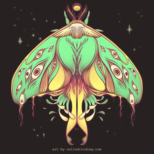 cellsdividing:Luna Moth. Illustration made with the Procreate art app using iPad Pro and Apple Pencil.