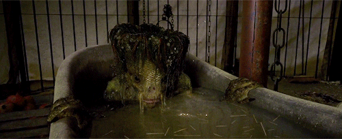 buckyssteves: the many creatures in Fantastic Beasts: The Crimes of Grindelwaldbonus: 