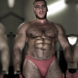 wrestle-bear:  Hot, hairy stud!  He’d