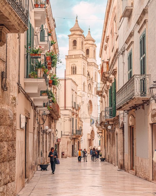 Altamura, Apulia, Italia | ImaginApulia 