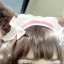 c0ttagebunny1