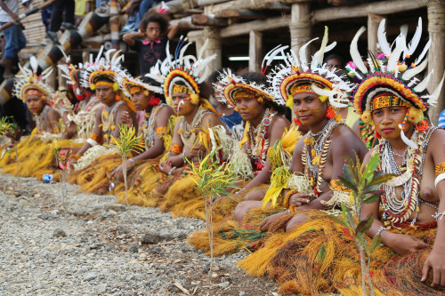 Porn photo   Melanesian Festival of Arts and Culture