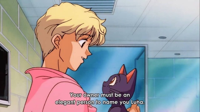 Luna Sailor Moon On Tumblr