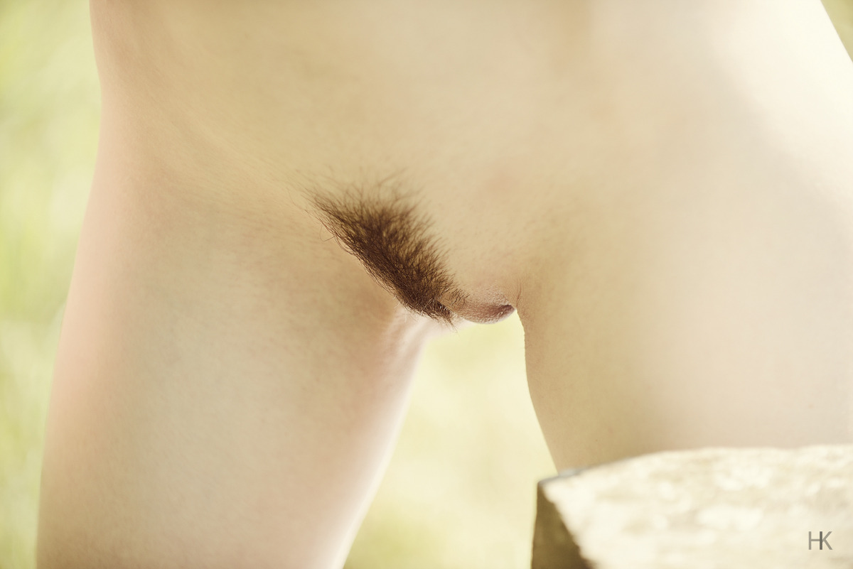 Neatly Trimmed