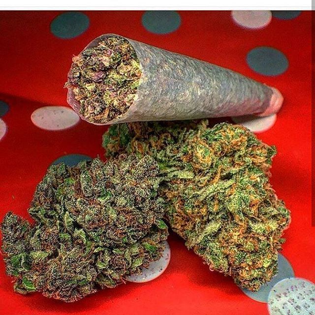 nature420world:  @hazedlife #blunts #joints #nugs #life #goals