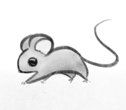squiggl3:Mouse doodle