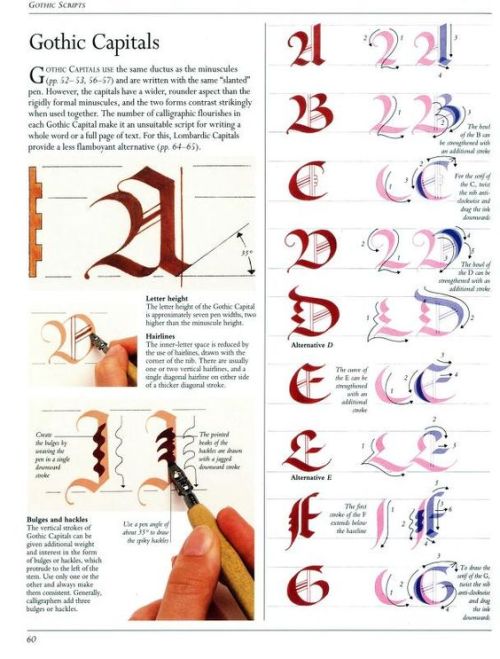 The Art Of Calligraphy