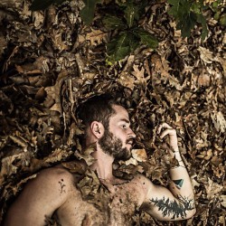 tzaris:  Leaf us alone  Photo by @hardciderny by nanuk_jf http://ift.tt/16f396p 
