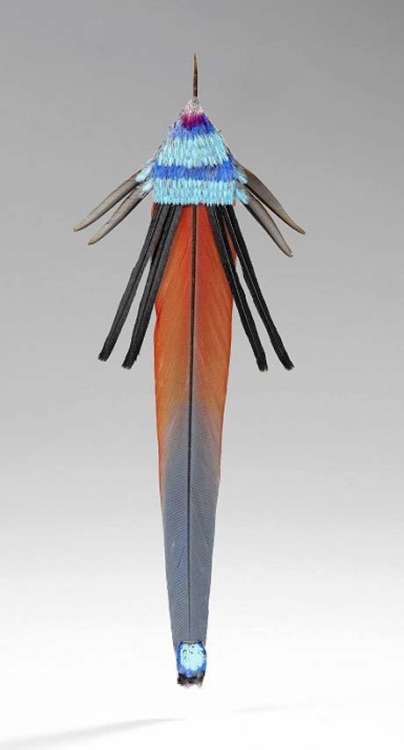 virtual-artifacts:Labret from Maranhão, BrazilFeathers, wood and vegetable fibers