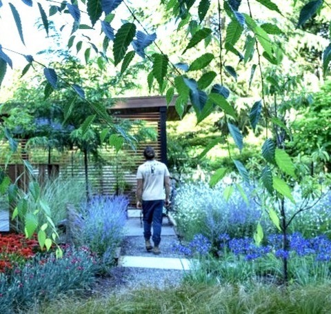 Portland Landscape PathwayInspiration For A Mid-sized Modern Drought-tolerant And Full Sun Front Yard