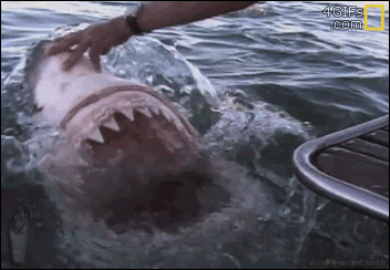 beyonslayed:  when bae wants to eat you out but you ain’t shower yet  
