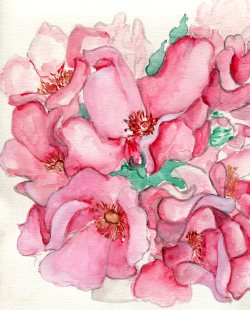 havekat:  Dainty Bess Bouquet Watercolor, Gouache and Chinese Ink 