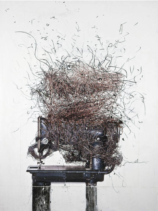 dada4you:  Andre Petterson