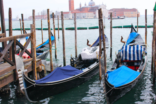 Gondolas in Venice, Italy https://anniewearsit.com/a-guide-to-venice-italy/