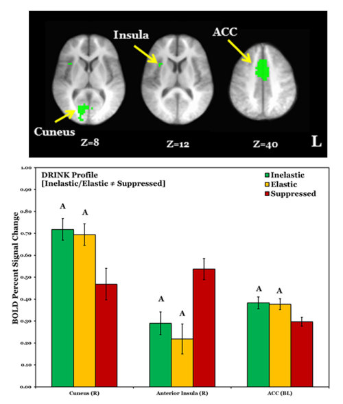 neurosciencestuff:Researchers identify decision-making center of brainAlthough choosing to do someth