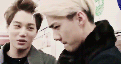 crossgrid:  10 things I haTE about Oh Sehun | A story of the downfall of my sanity.No.1