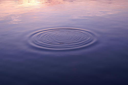 passivites:  That ripples, that I made, represent that I live here and now.Shunya Asami 