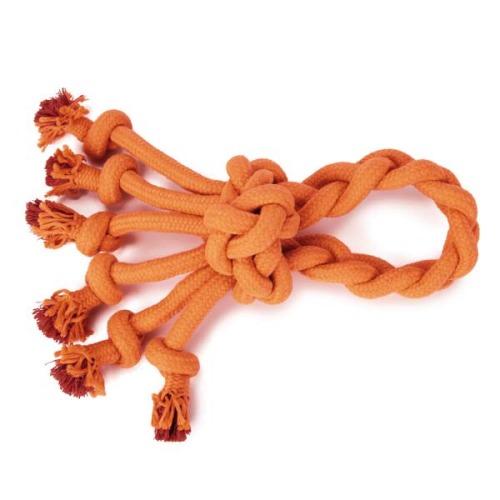 puppyydog:orange x | x | x