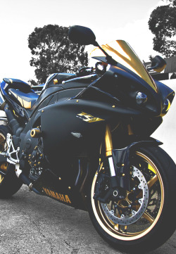 lux-society:  R1 gold