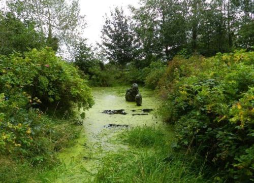 Sex  Swamp sculpture in Eastern Ireland     pictures