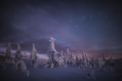 tiinatormanenphotography:  Purple magic. Starry views before moon rise. 27th Dec 2015.  Riisitunturi National Park, Finland.by Tiina Törmänen | web | FB | IG |  