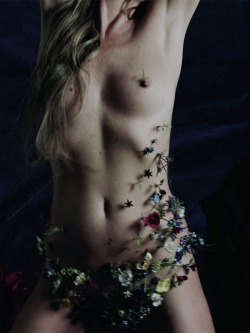 stlara:  kate | kate moss by tim walker for