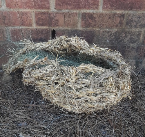 A Collection Of Braided Grass Baskets I Made Last Summer