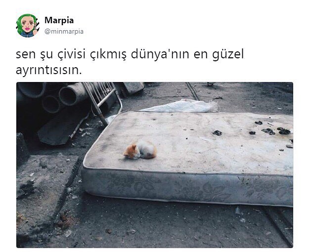 sen şu çivisi çıkmış...