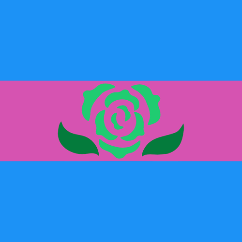 aroaesflags:MLM flags in other flag colorsBi | Pan | PlyTrans | NB | GenderqueerAro | Gay | Ace