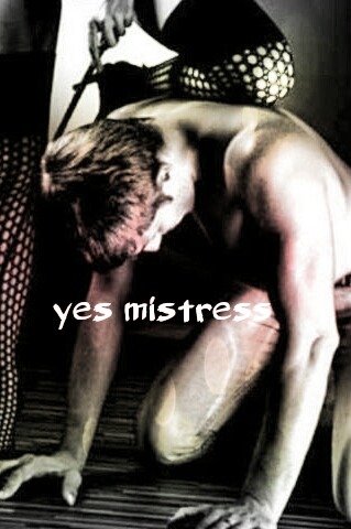 Mistress Lilith's obedient and worshipful pet
