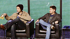 homeforsam:  "Jared, I have gummy bears for you."     