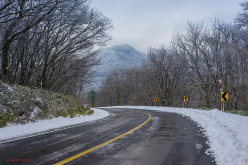 lovesouthkorea:Mount Hallasan, Jeju Island 1|2 by sydbad