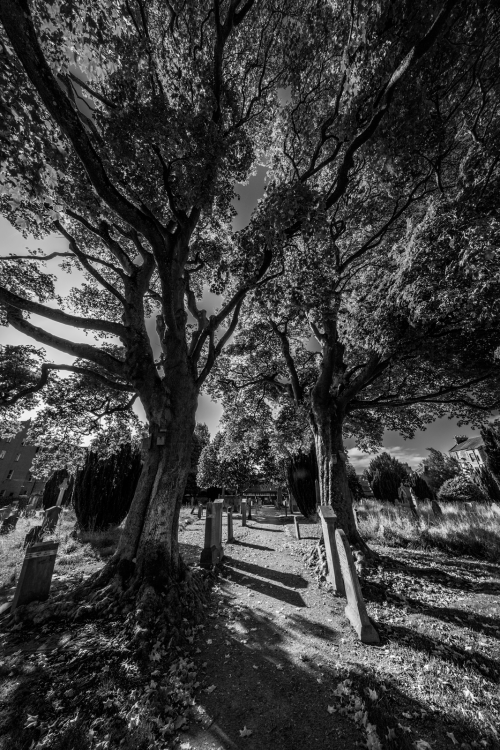 pershing100:  Greyfriars Burial Ground, Perth