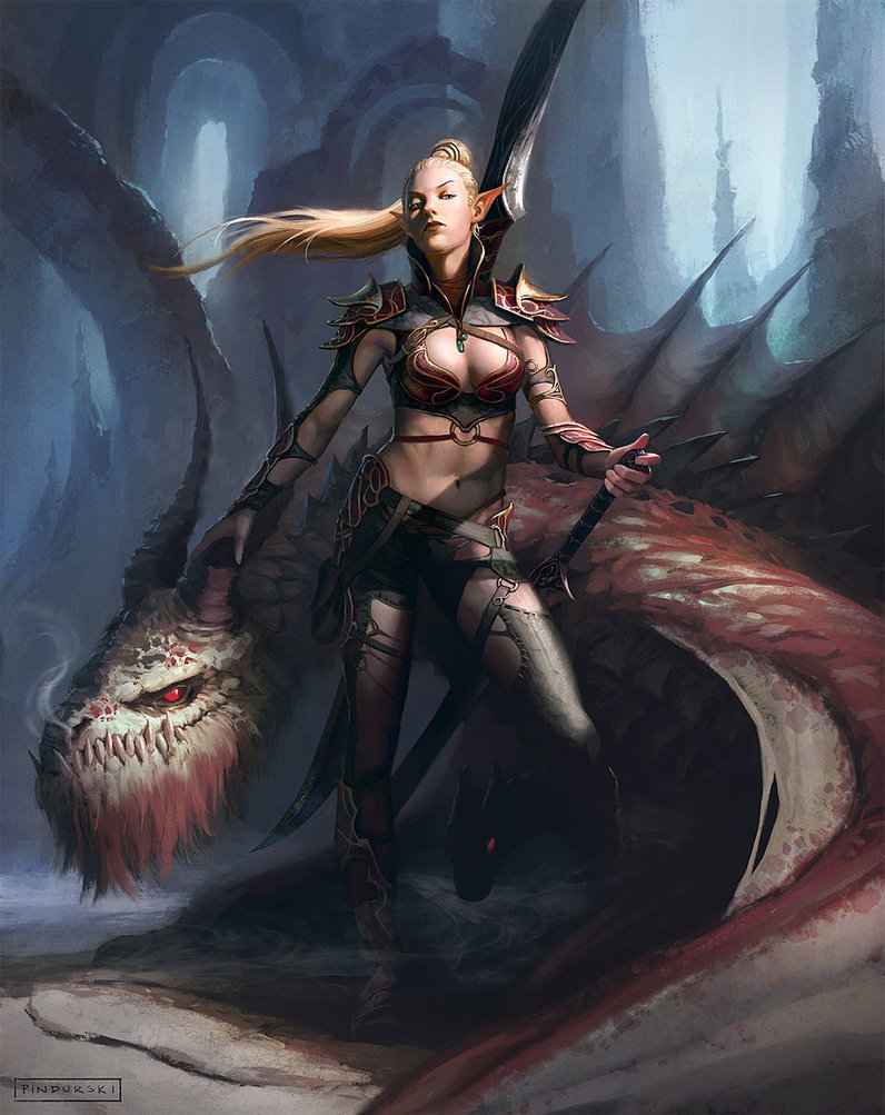 fear-the-bunneh:  Elf and Dragon(s) by pindurski Who needs good armor when you have