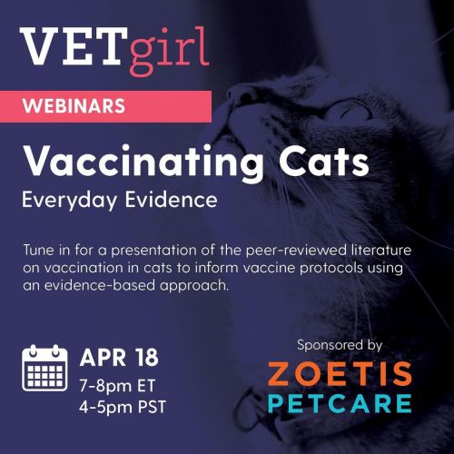 Free @vetgirlontherun webinar on vaccinating feline patients here! @zoetispetcare #cats #vetgirl #v