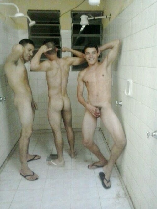 I love cocks