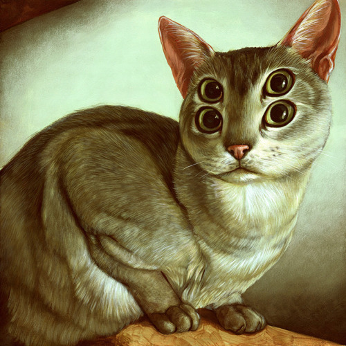 guiltregret:  lacarpa:  Casey Weldon On Tumblr  Relevant. 