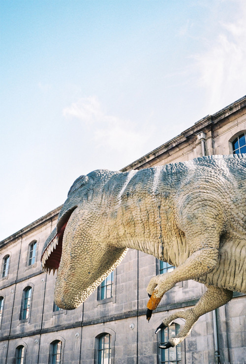 T-Rex in Porto // 2015 www.leafhopper.eu