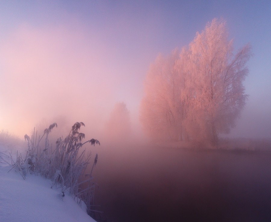 88floors:  Frozen Countryside by Alex Ugalnikov  